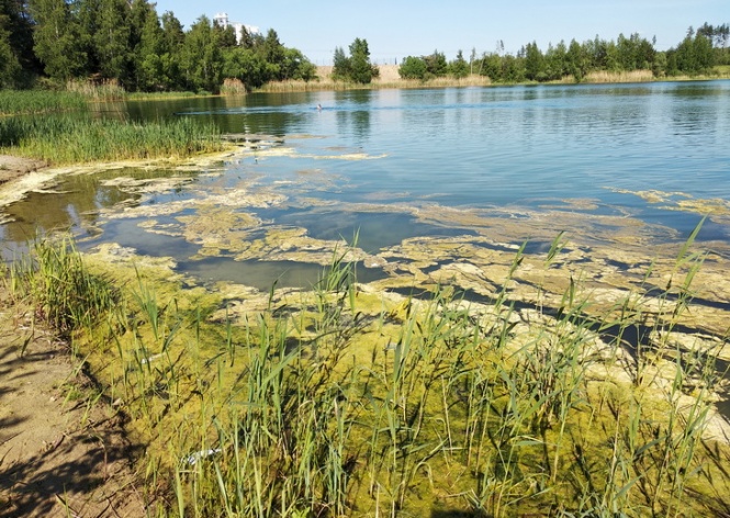Экологического состояния озер